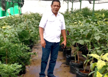 Ketua Umum BaraJP, Utje Gustaaf Patty