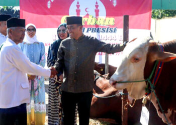Jajaran Polresta Cirebon mendistribusikan puluhan hewan kurban ke sejumlah pondok pesantren di wilayah Kabupaten Cirebon pada momentum Hari Raya Idul Adha 1444 H, Kamis (29/6/2023).
