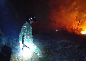Anggota TNI dari Koramil 1004/Tanjungsari saat melakukan penanganan kebakaran lahan bambu di Desa Sukawangi, Kecamatan Pamulihan, Kami (24/8/2023) petang