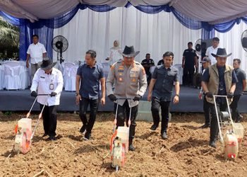 Kapolres Tanah Bumbu AKBP Arief Prasetya, S.I.K., M.Med.Kom bersama perwakilan Bulog, perwakilan PT Arutmin Indonesia, Perwakilan Dinas Pertanian serta Camat Simpang Empat menanam jagung. (Foto: Polres Tanah Bumbu)