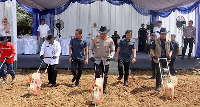 Kapolres Tanah Bumbu AKBP Arief Prasetya, S.I.K., M.Med.Kom bersama perwakilan Bulog, perwakilan PT Arutmin Indonesia, Perwakilan Dinas Pertanian serta Camat Simpang Empat menanam jagung. (Foto: Polres Tanah Bumbu)