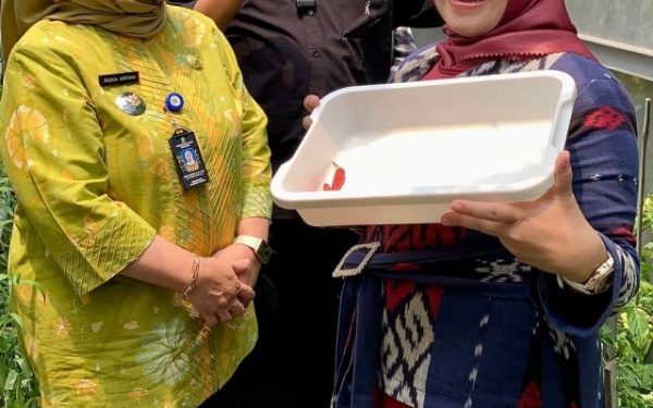 CREATOR: gd-jpeg v1.0 (using IJG JPEG v62), quality = 80?