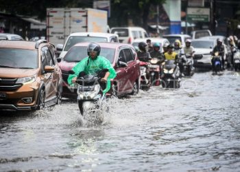 CREATOR: gd-jpeg v1.0 (using IJG JPEG v62), quality = 85?